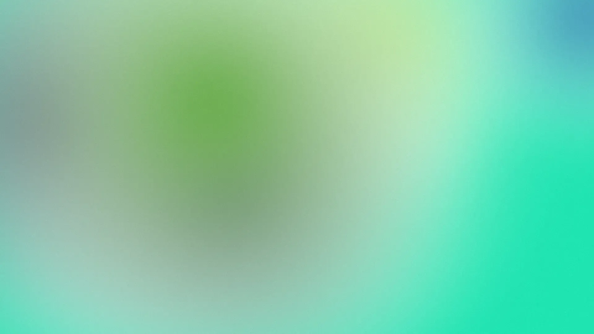 Step into Development: A Beginner's Guide