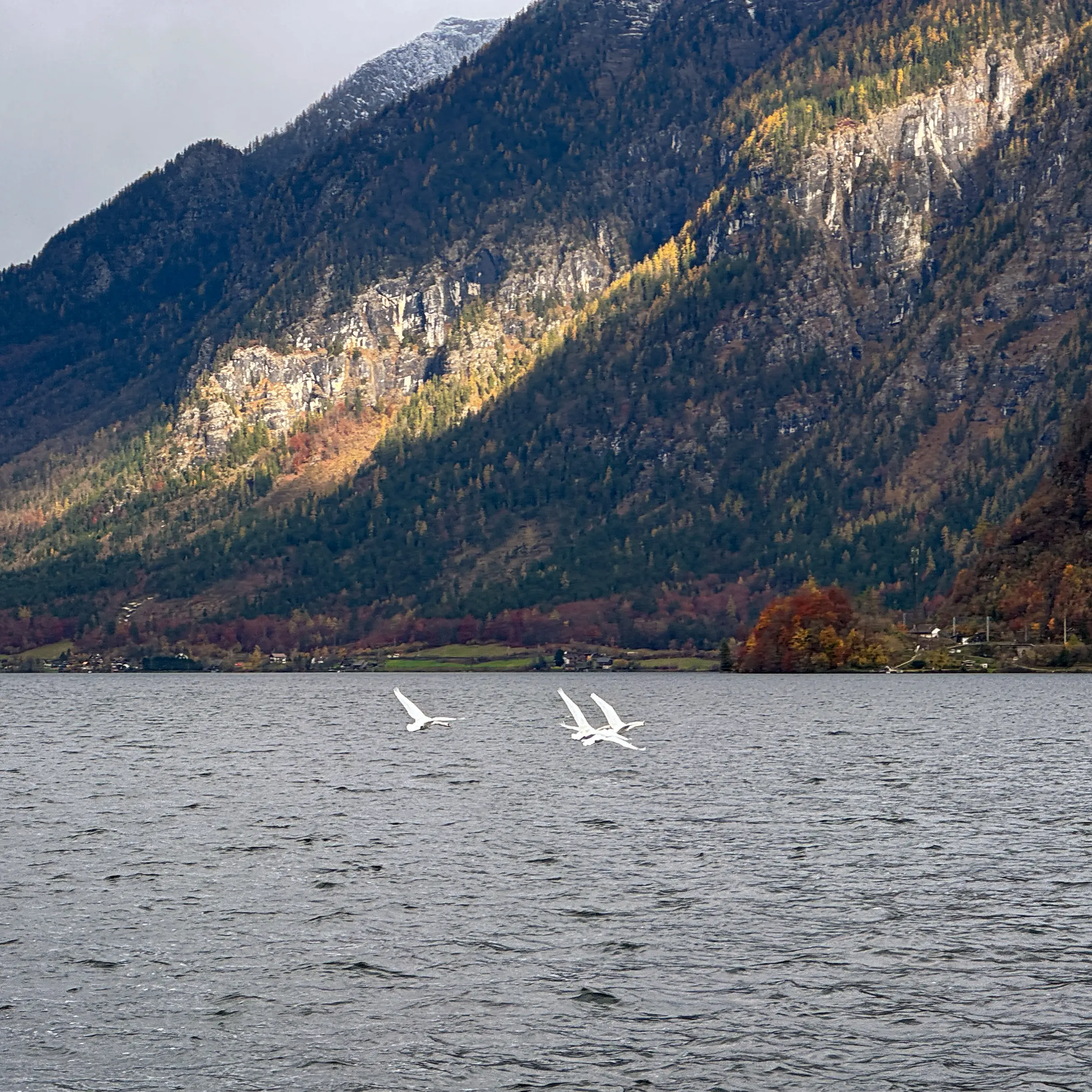 Alpine Reflections in Salzkammergut - Image 11